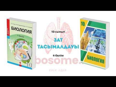 Видео: 10-сынып Зат тасымалдауы | 4-бөлім | Ribosome.kz | Ерік Әділ