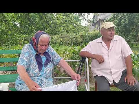 Видео: Встреча родственников