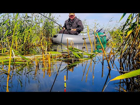 Видео: Рыбалка на карася Рыбалка на поплавок в камыше