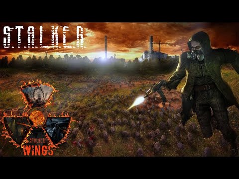 Видео: Day Z . Дорога опасна и трудна  Wings Stalker PVE STALKER PVE WINGS AOD1  № 62