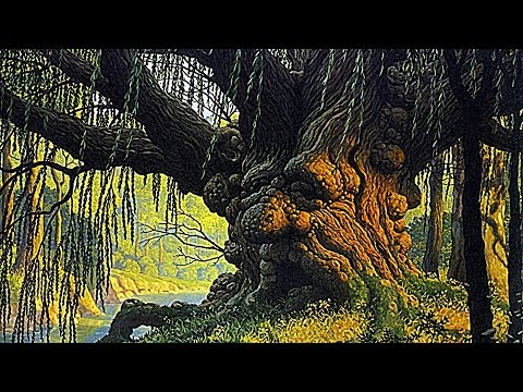 Видео: 16 самых древних деревьев на Земле