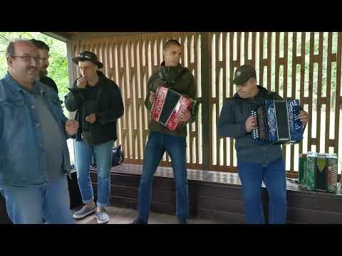 Видео: Парк Кузьминки,день Пограничника под гармонь гармонисты :Александр Рузвельд и Александр Ковалёв.