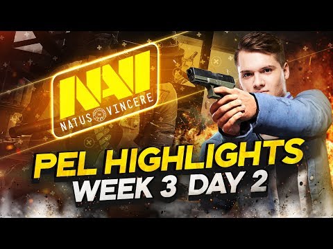 Видео: САДОВНИК попадает в ДТП! — PEL День 2, Неделя 3