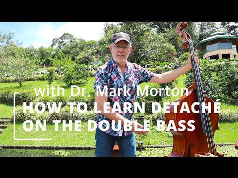 Видео: Как научиться отстраняться на контрабасе
