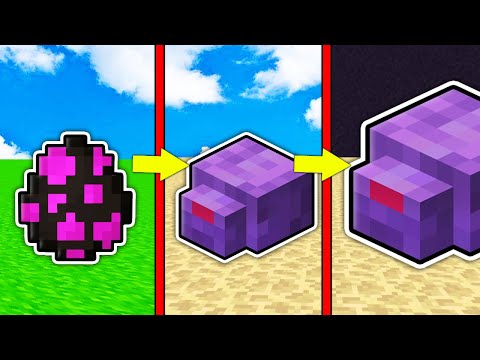Видео: КАК МЕНЯЛСЯ ЭНДЕРМИТ ЧЕШУЙНИЦА КРАЯ МОБ И ЕГО ЖИЗНЕННЫЙ ЦИКЛ В МАЙНКРАФТ ! ЭВОЛЮЦИЯ MINECRAFT