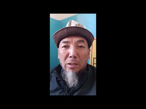 Видео: Текшеруугө алынып мощенниктерге чаара көрүлсүн.