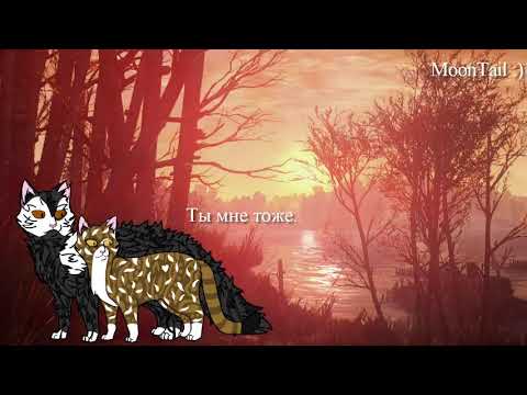 Видео: Сердце Пестролистой В Двух Словах - Коты Воители.