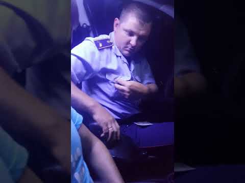 Видео: Гаи ско