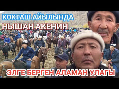 Видео: КОКТАШ АЙЫЛЫНДА НЫШАН АКЕНИН ЭЛГЕ БЕРГЕН АЛАМАН УЛАГЫ 1-БОЛУК УШУЛ КАНАЛДЫН АДМИН Н-М  0773499079