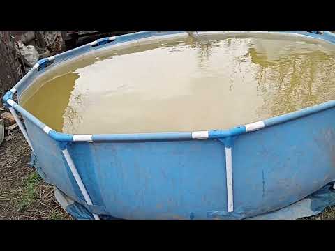 Видео: Песка много, воды мало!