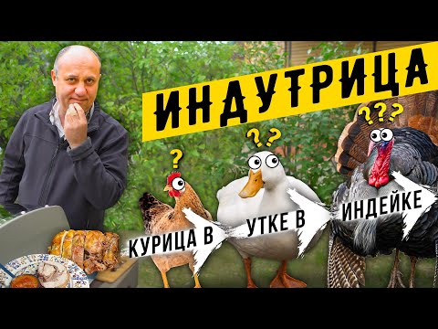 Видео: Блюдо Кощея! ИНДУТРИЦА или TURDUCKEN - матрёшка из трёх птиц : индейка + утка + курица в одном блюде