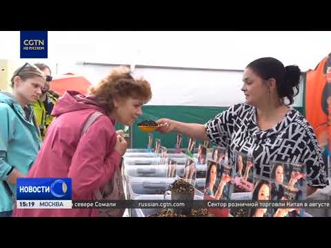 Видео: Торговый хаб Урала