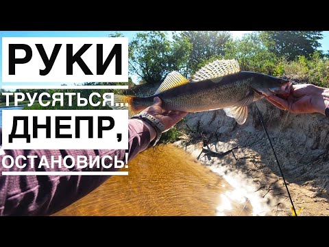 Видео: Днепр раздает.  Береговая, спинниннговая, джиговая рыбалка на судака и окуня на Днепре.