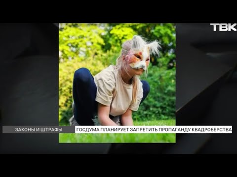 Видео: Почему в Госдуме хотят запретить квадроберов?