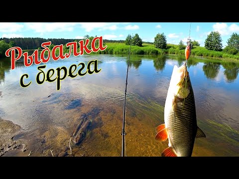 Видео: Рыбалка с берега на малой реке. Щука, Голавль, Окунь