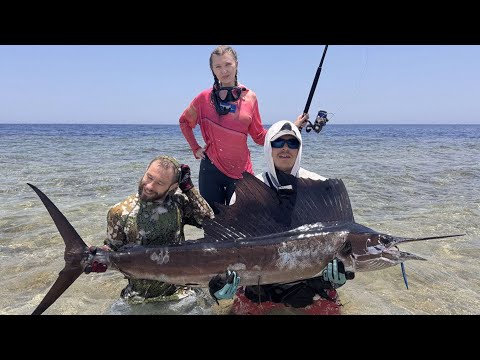 Видео: Парусник Арсения 😀 Или рыбалка в Египте с берега