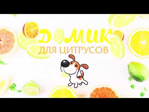 Видео: 3азирнемо разом до екзотичного доміку 🏡🌱🍋🍊😁