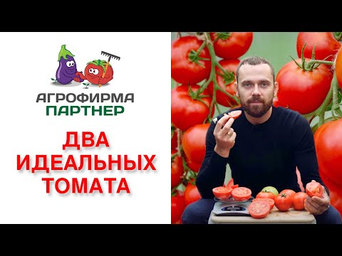 Видео: ДВА ИДЕАЛЬНЫХ ТОМАТА ДЛЯ ФЕРМЕРОВ И ОГОРОДНИКОВ