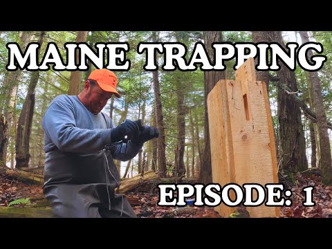 Видео: Ловля рыбы на отдалённой реке Мэн с лодки: Эпизод 1. Установка ловушек для койотов, куниц и рыб