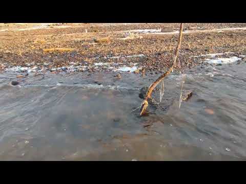 Видео: 31.10.2025 и 01.11.2025 Сборник#1 Набережная реки Амур