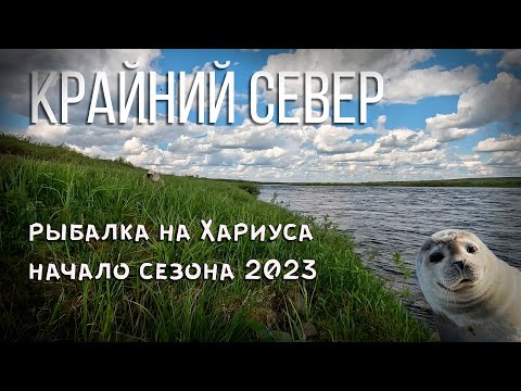Видео: Рыбалка на Хариуса !  Открытие сезона 2023.