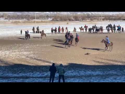 Видео: 19.01.2023-ж Осмонкулов & Калба