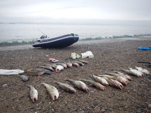 Видео: Правильные снасти для ловли трески в Баренцевом море!