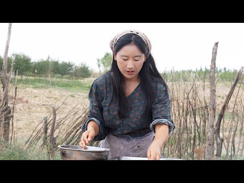 Видео: Упорство | На третьем году жизни в Нинся я понял, что значит упорство.【ShenDan】