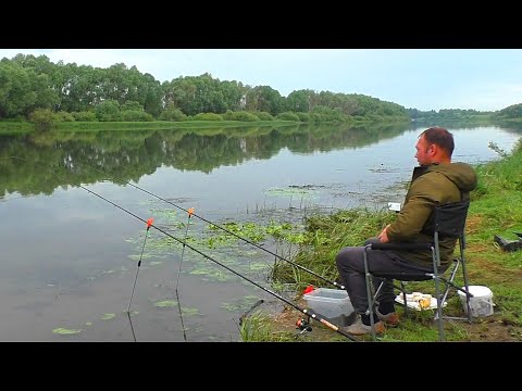 Видео: Ловля ЛЕЩА и ПЛОТВЫ на ОКЕ ! Рыбалка на фидер(донку)! Рыбалка в июне 2025!