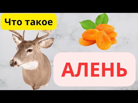 Видео: Настоящий Мужик - что это значит?