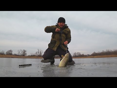 Видео: ЩУКИ НЕ ЛІЗУТЬ В ЛУНКУ! ЛОВЛЯ на ЖЕРЛИЦІ! ОКУНЬ і ПЛОТВА на БЕЗМОТИЛКИ І БЛЕШНІ! ЗИМОВА РИБАЛКА 2025