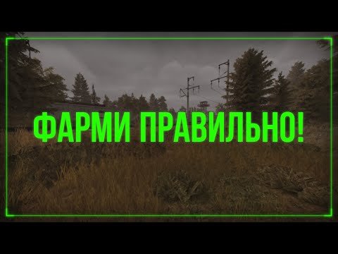 Видео: Как Правильно Фармить На Новом Севере? СТАЛКРАФТ | STALCRAFT