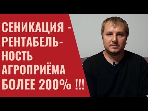 Видео: Сеникация: как получить максимальную выгоду