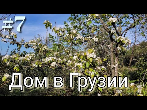 Видео: #7 Дом в Грузии. Наши будни