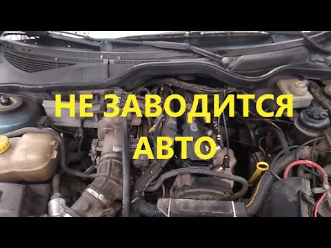 Видео: Не заводится машина Опель Омега В