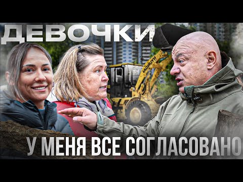 Видео: Деревьев не будет!