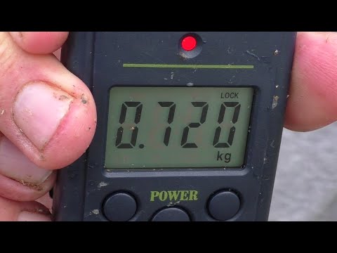 Видео: Лучший способ рыбной ловли карася и плотвы!