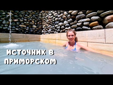 Видео: КАЙФ! ЛЕЧИМСЯ В АБХАЗИИ/ Сероводородный источник и водопад в Приморском/Абхазия 2023