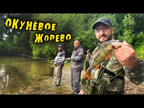Видео: ЭТИ Приманки Ловят КРУПНОГО Окуня! ОТВОДНОЙ Поводок В ДЕЛЕ! Ловля Окуня на Оби Рыбалка на спиннинг