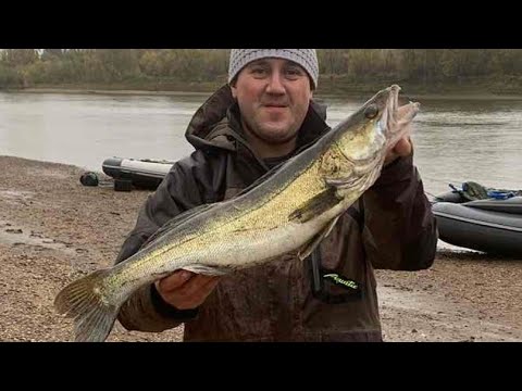 Видео: ОСЕННЯЯ РЫБАЛКА . РЕКА ЧУЛЫМ. ЧАСТЬ 2.