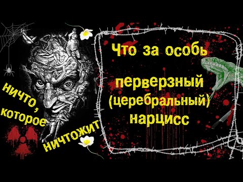 Видео: Что за особь перверзный (злокачественный, церебральный) нарцисс