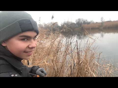 Видео: Левобережный 3 о.Куриное «Курячье» #днепр #рыбалка #спининг #Shved57