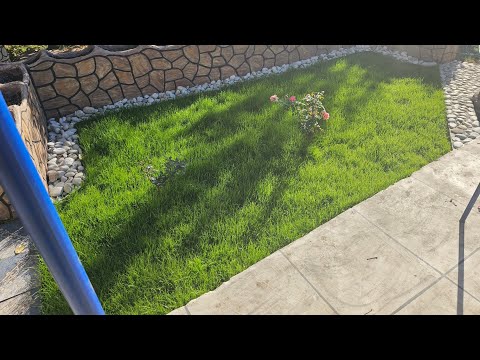 Видео: Расскажу  Вам  Как  есть  Всю Правду