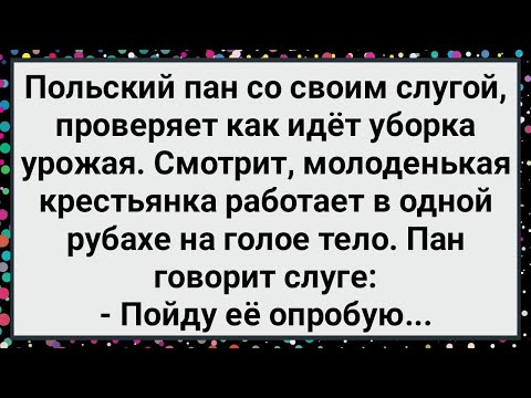 Видео: Как Пан Тадеуш Крестьянку Опробовал! Большой Сборник Свежих Смешных Анекдотов!