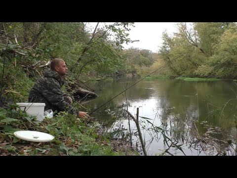 Видео: КАК ЛОВИТЬ НА ФИДЕР(ДОНКУ) В ОКТЯБРЕ на реке. Осенняя рыбалка в октябре.