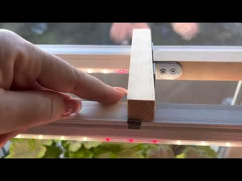 Видео: Подсветка моих пеларгоний