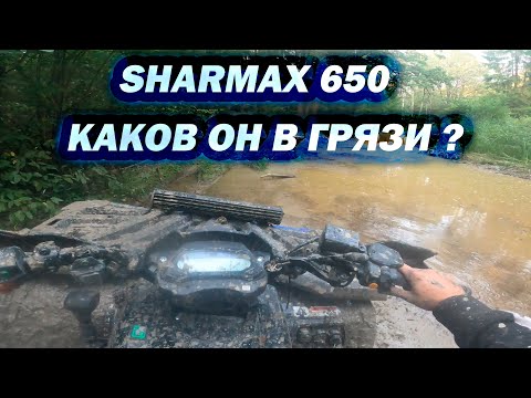Видео: SHARMAX 650 В ГРЯЗЬ ! | ДОЛБИМ ДОМОДЕДОВСКИЕ ПРОСЕКИ !