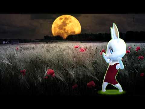 Видео: Zoobe Зайка Бумдиггибай, Засыпай любовь моя, Засыпай