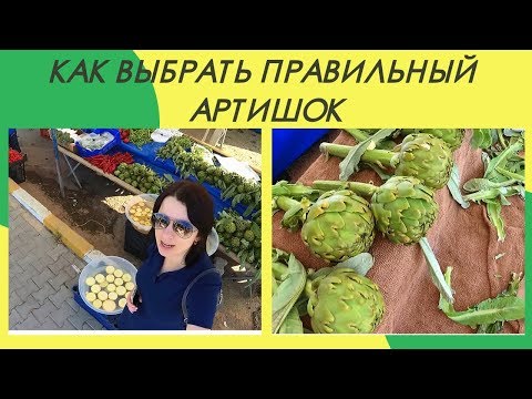 Видео: Артишоки : как выбирать правильно