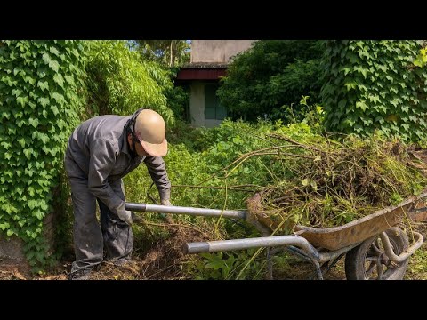 Видео: Заброшенный дом внезапно преобразился — всеобщее беспокойство исчезло